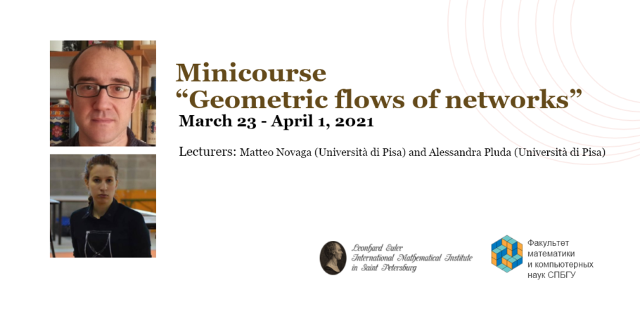 Minicourse “Geometric flows of networks”