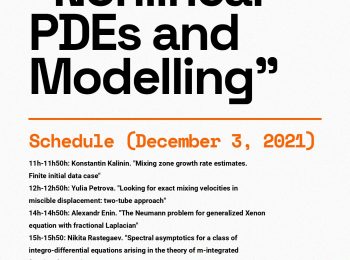 Workshop «Nonlinear PDEs and Modelling»